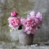 Larkspur Bouquet